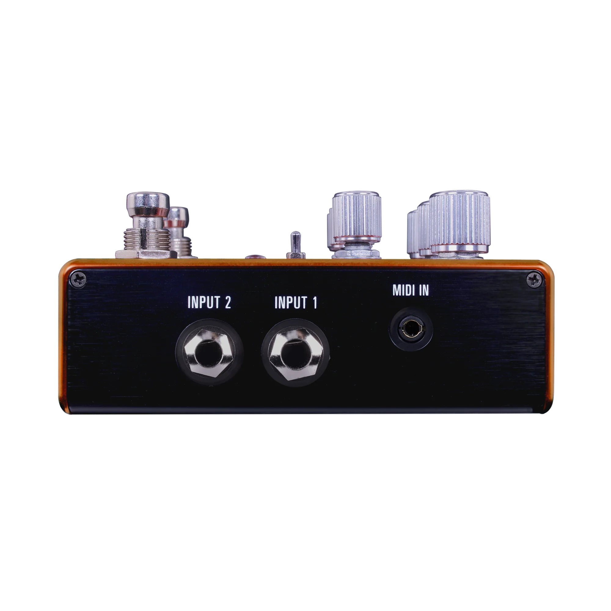 Source Audio PATHWAYS Stereo Reverb + Tremolo