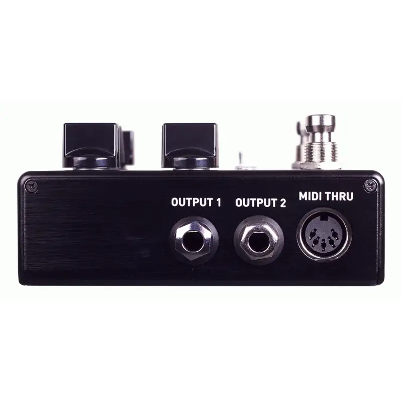 Source Audio Encounter Ambient Delay+Reverb