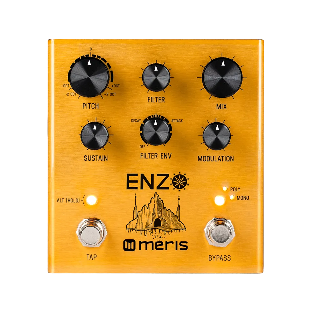 A top view of the gold Meris Enzo guitar pedal, on the top of the pedal are various dials to control the output