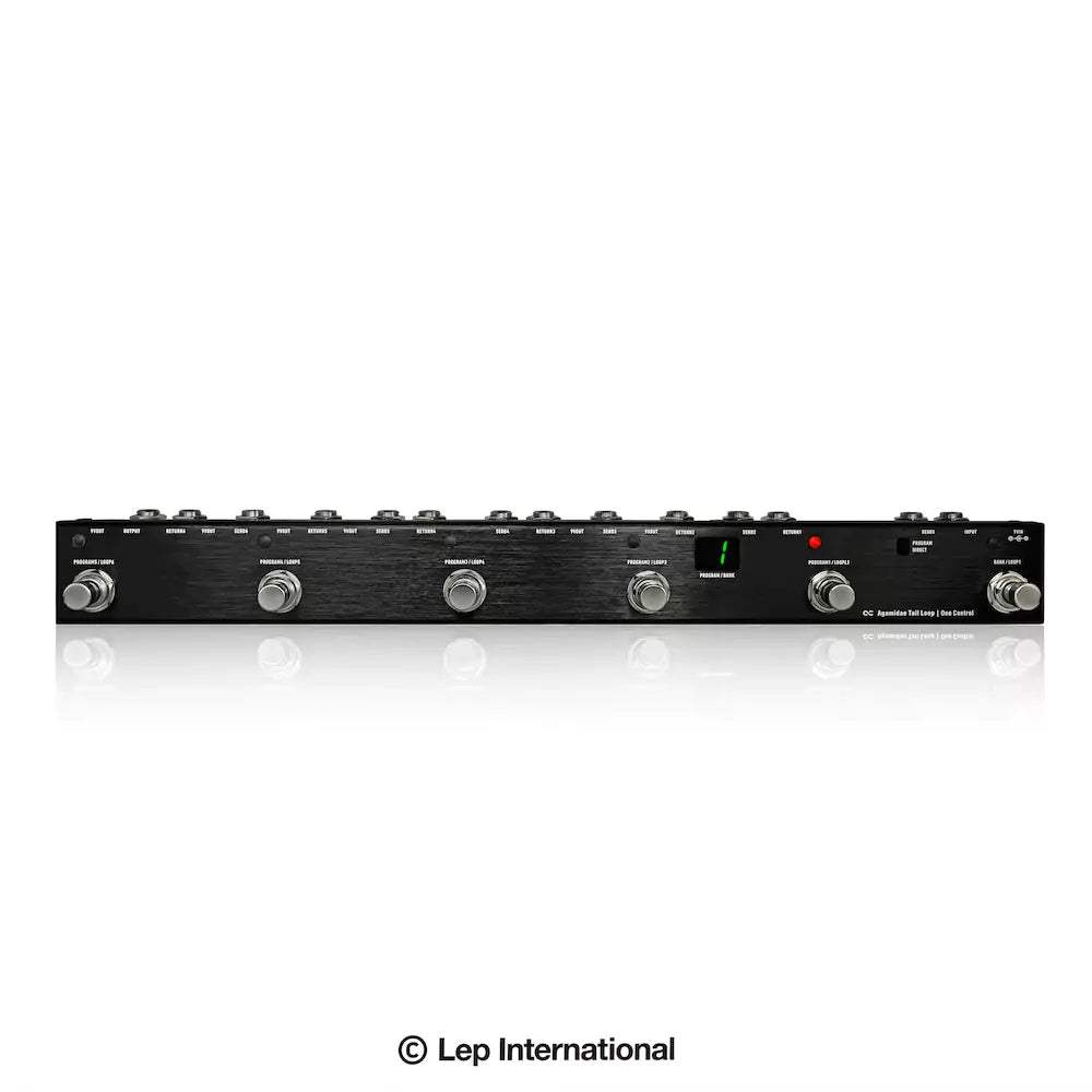 One Control Agamidae Tail 6-Loop Switcher