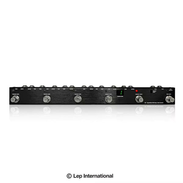 agamidae-tail-loop01-