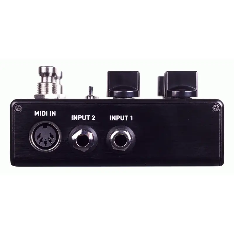 Source Audio Encounter Ambient Delay+Reverb