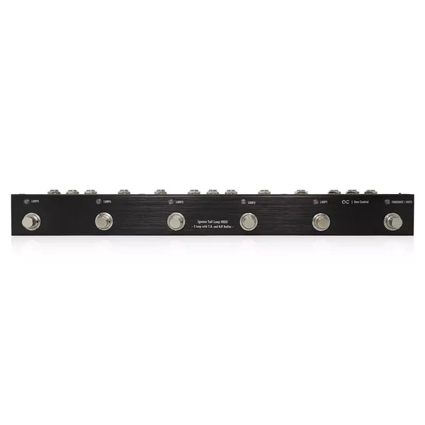iguana-a-01-