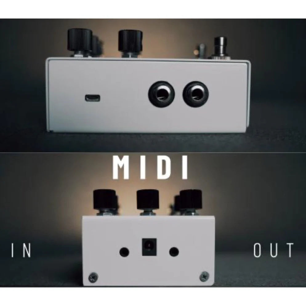 VTR Effects NARCISO Stereo Delay
